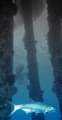 Tarpone below the stilts of salt pier. Some effect added