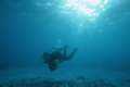 Sunlight brightening the scenery of the diver at a shallow sandy dive spot