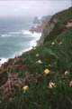 View along the steep cliffs of Cabo da Roca